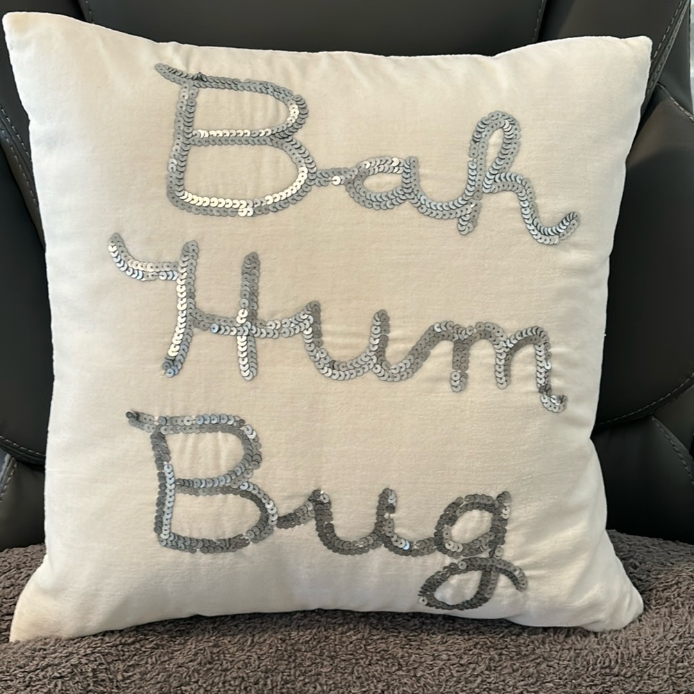 Pottery Barn Teen Holiday Pillow Case